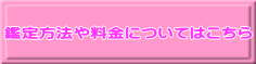Ӓ@◿ɂĂ͂ 